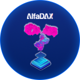 分子设计与优化