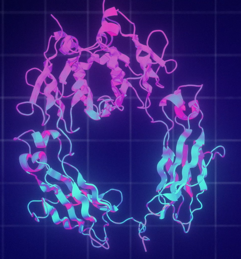 分子设计